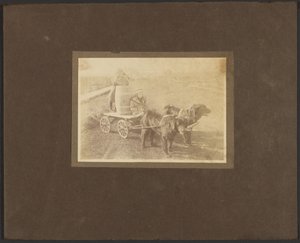 Children on Cart Pulled by Dogs