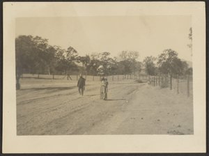 Figures in Field