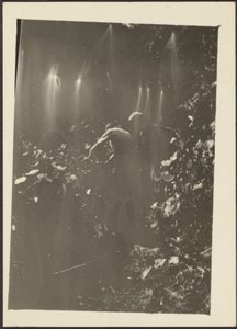 Figures in Woods