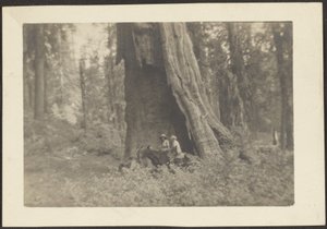 Figures on Horseback in Hollow of Massive Tree by Louis Fleckenstein