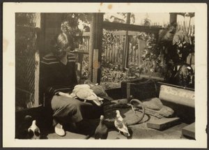 Florence with Pigeons