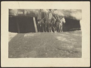 Group of People Standing on Horseback