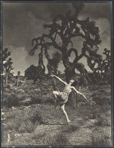 Inspiration of the Dance by Louis Fleckenstein