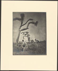 Just Stepping Out by Louis Fleckenstein