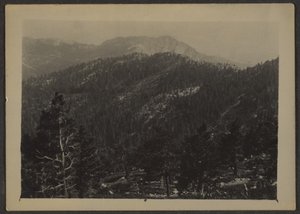 Landscape