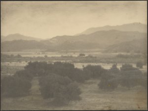 Landscape with Low Trees by Louis Fleckenstein