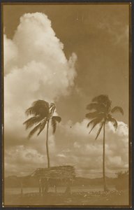 Landscape with Palm Trees by Louis Fleckenstein
