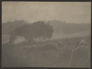 Landscape with Sheep by Louis Fleckenstein