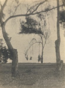 Landscape with Trees