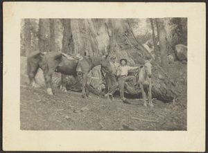 Men and Pack Horses in Forest Clearing by Louis Fleckenstein