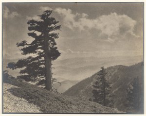 On Ridge to Old Baldy by Louis Fleckenstein