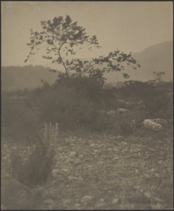Rocky Landscape by Louis Fleckenstein