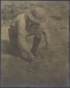 The Struggle by Louis Fleckenstein