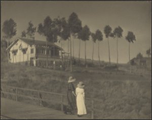 The White Cottage