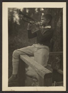 Thornbill by Louis Fleckenstein