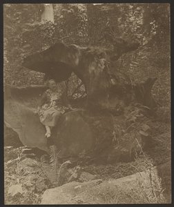 Woman Sitting on Rocks, Possibly Mrs. Fleckenstein by Louis Fleckenstein