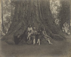 Women with Cameras at the Base of a Tree by Louis Fleckenstein