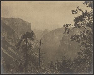 Yosemite Landscape