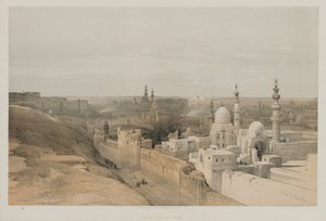 Egypt and Nubia, Volume III: Cairo, Looking West, 1848