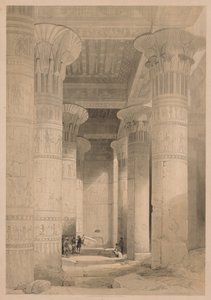 Egypt and Nubia: Volume I - Frontispiece, View under the Grand Portico, Philae