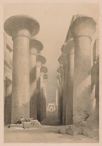 Egypt and Nubia: Volume I - No. 20, Great Hall at Karnak, Thebes by Louis Haghe