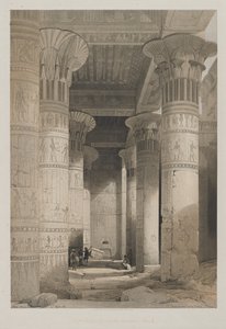 View Under the Grand Portico of the Temple, Philae