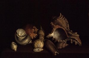 Still Life of Shells on a Ledge by Louis Hubner