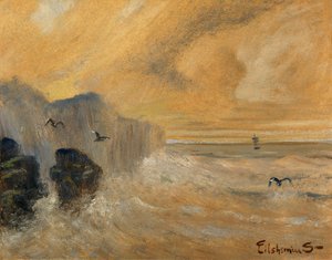 Rocky Seashore