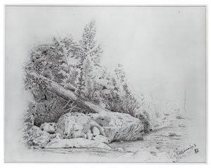 Fallen Tree, Keene Valley, July 25, 1883 by Louis Michel Eilshemius
