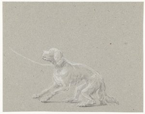 Dog on a Leash