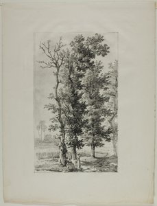 Study of Trees by Louis Pierre Baltard