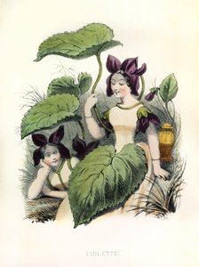 Allegory, the Violet by Louis Simon (1810-1870) Lassalle