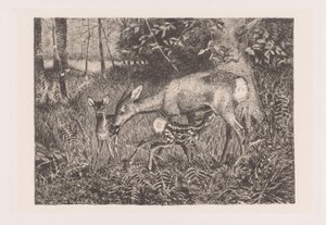Deer with Two Fawns by Louis Theodor Lindblohm