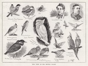 Bird Show at the Crystal Palace by Louis Wain