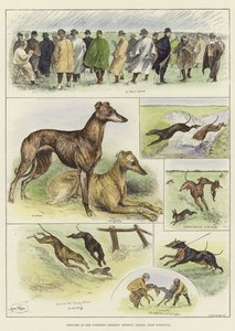 Sketches at the Waterloo Coursing Meeting