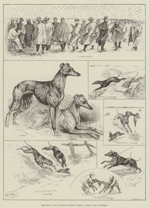 Sketches at the Waterloo Coursing Meeting, Altcar, near Liverpool by Louis Wain