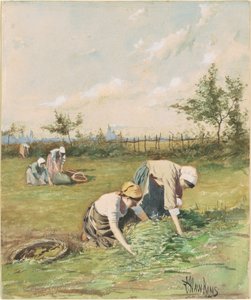 Gleaners in the Field
