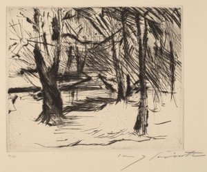Trees in the Sun by Lovis Corinth