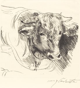 Head of a Steer by Lovis Corinth