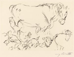 Animal Studies