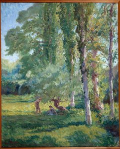 Couple on the grass under a poplar