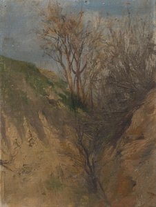 Ditch