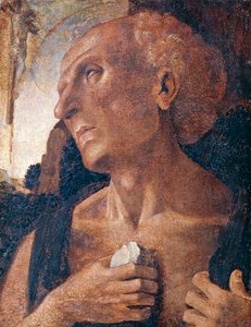 St. Jerome by Luca (attr.to) Signorelli