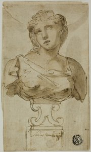 Bust of a Woman by Luca Cambiaso