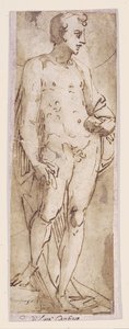 Youth with a Mantle Standing in a Niche by Luca Cambiaso