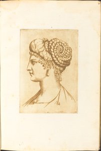 Print from Drawing Book by Luca Ciamberlano