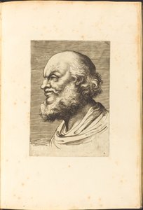 Print from Drawing Book by Luca Ciamberlano