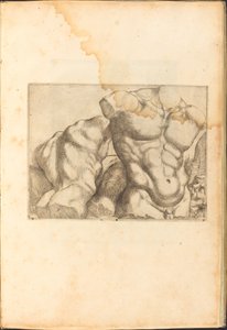 Print from Drawing Book by Luca Ciamberlano