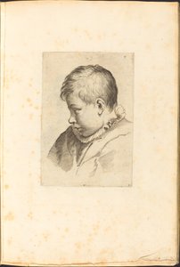 Print from Drawing Book by Luca Ciamberlano