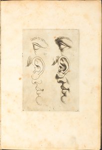 Print from Drawing Book by Luca Ciamberlano